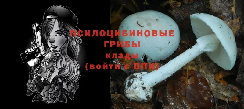 Галлюциногенные грибы Psilocybe  Джанкой 